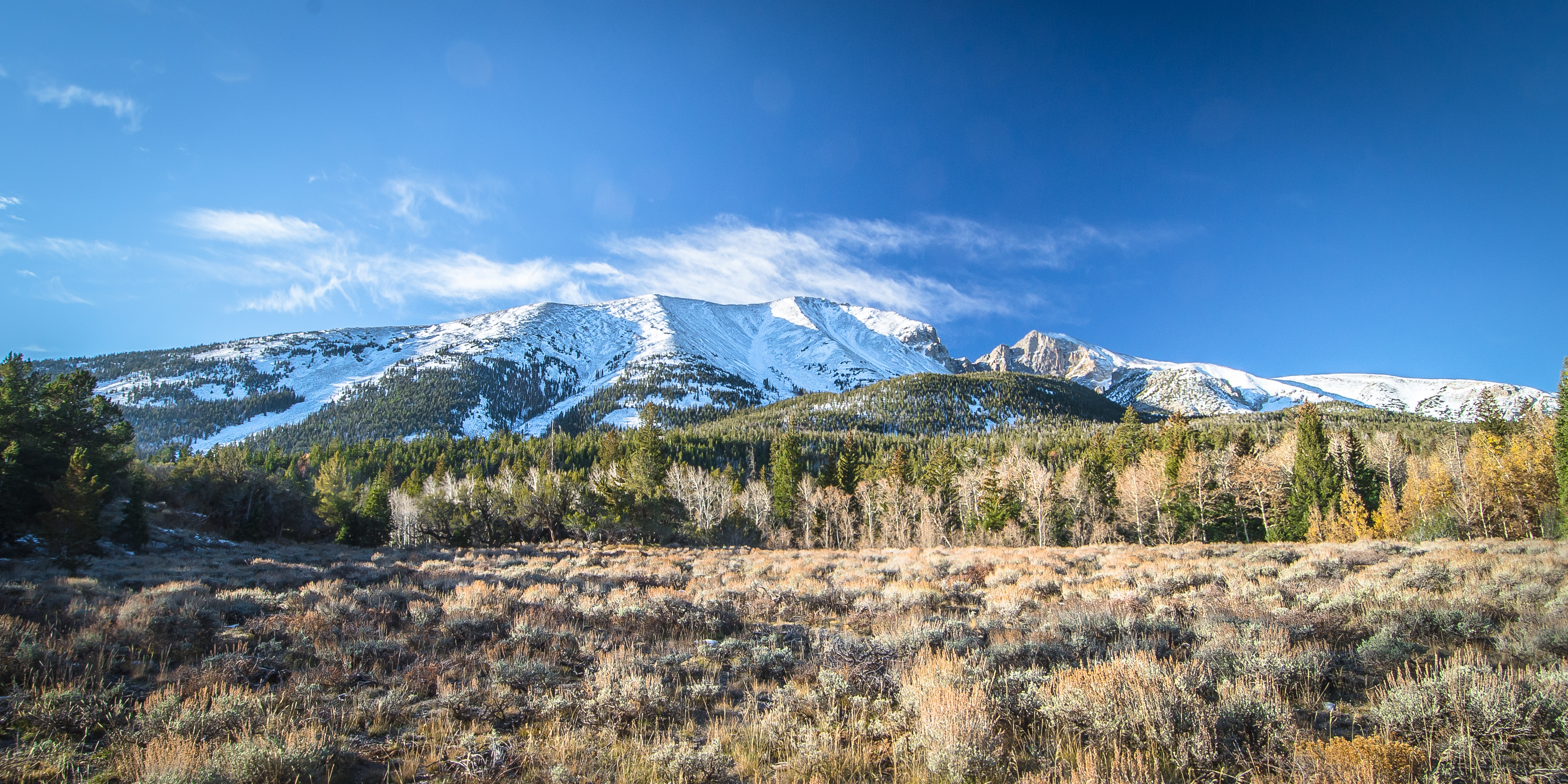 Wheeler Peak via Upper Lehman Creek