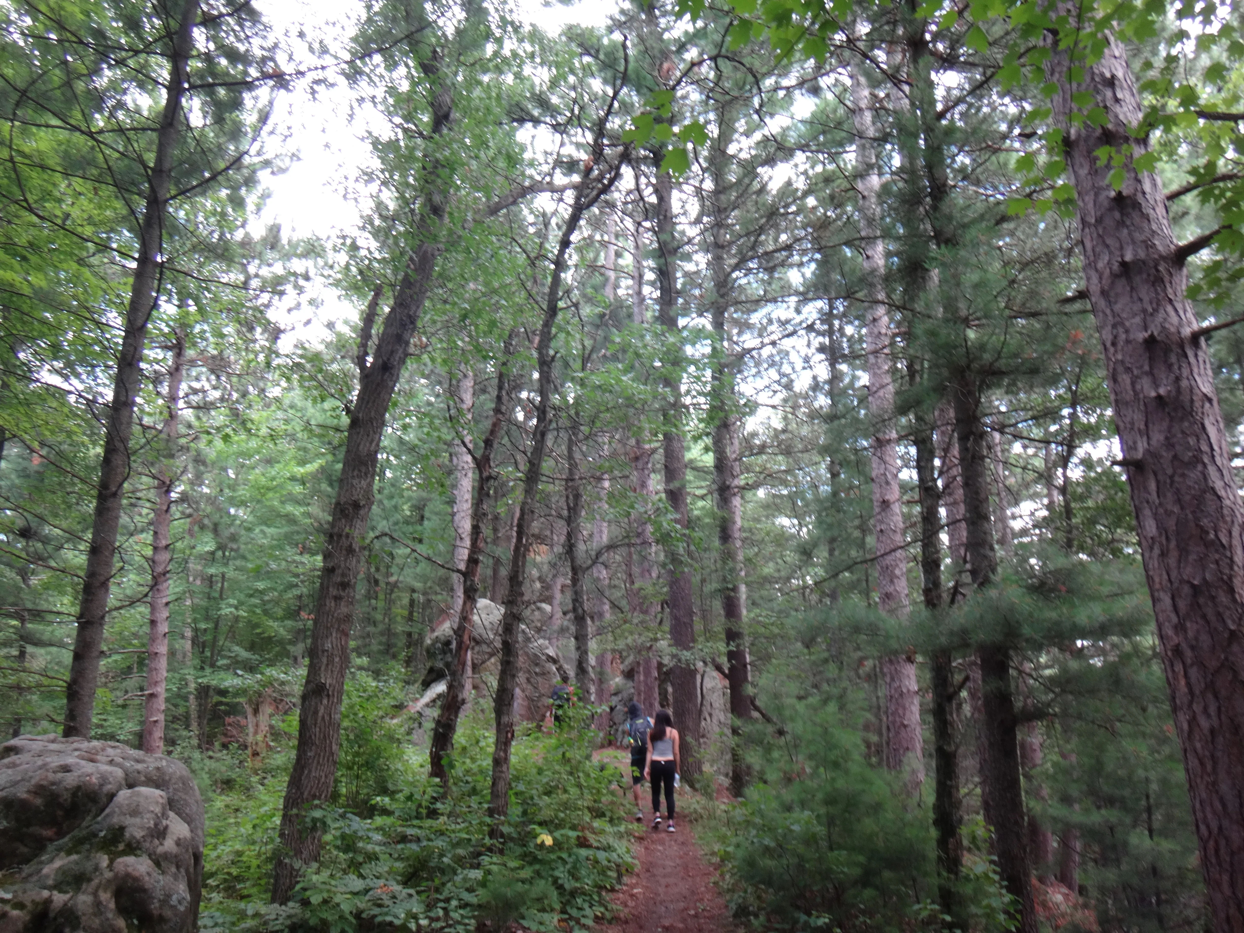 Castle Mound Lookout at Black River State Forest