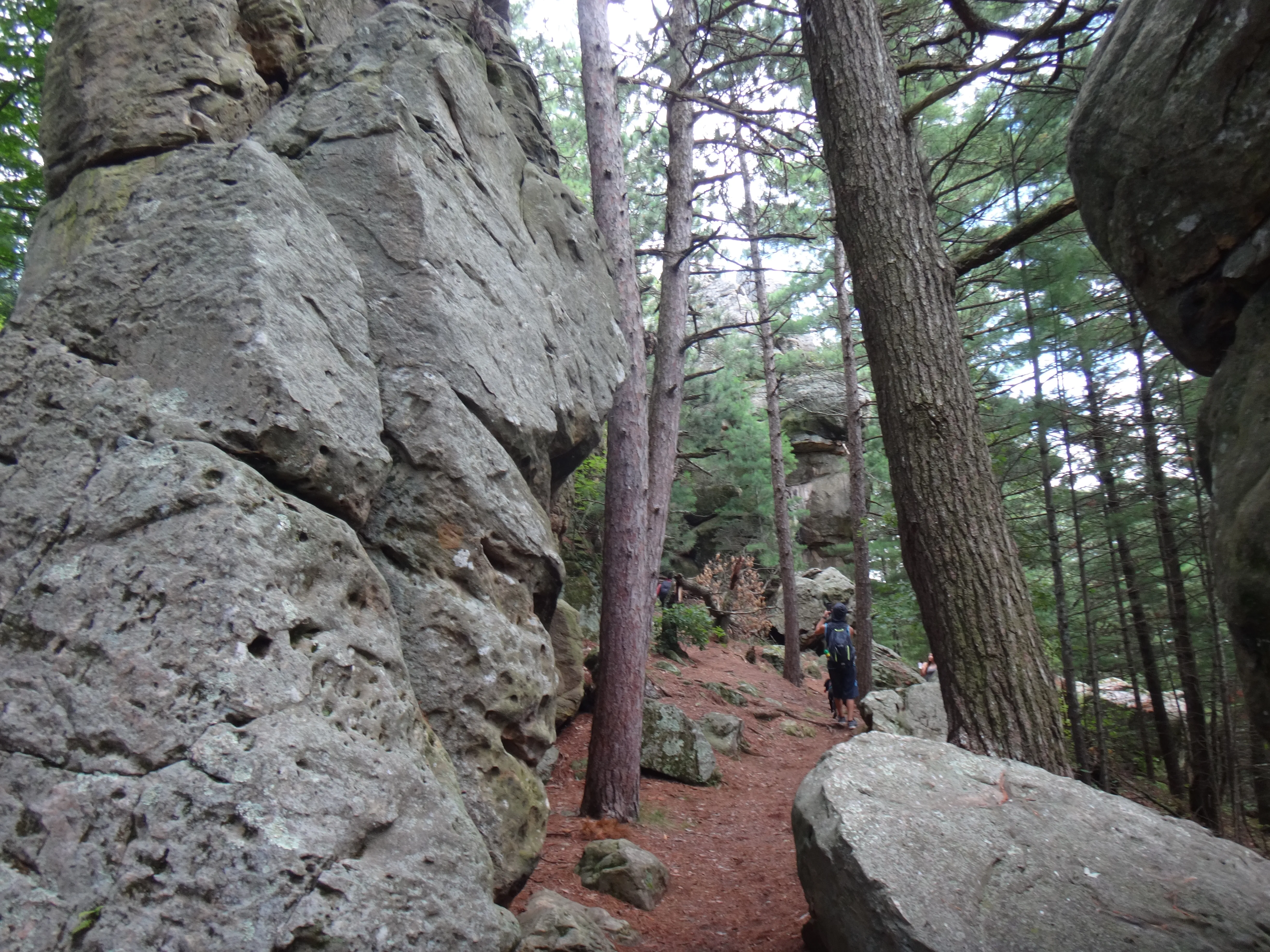 Castle Mound Lookout at Black River State Forest