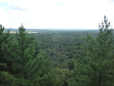Castle Mound Lookout at Black River State Forest