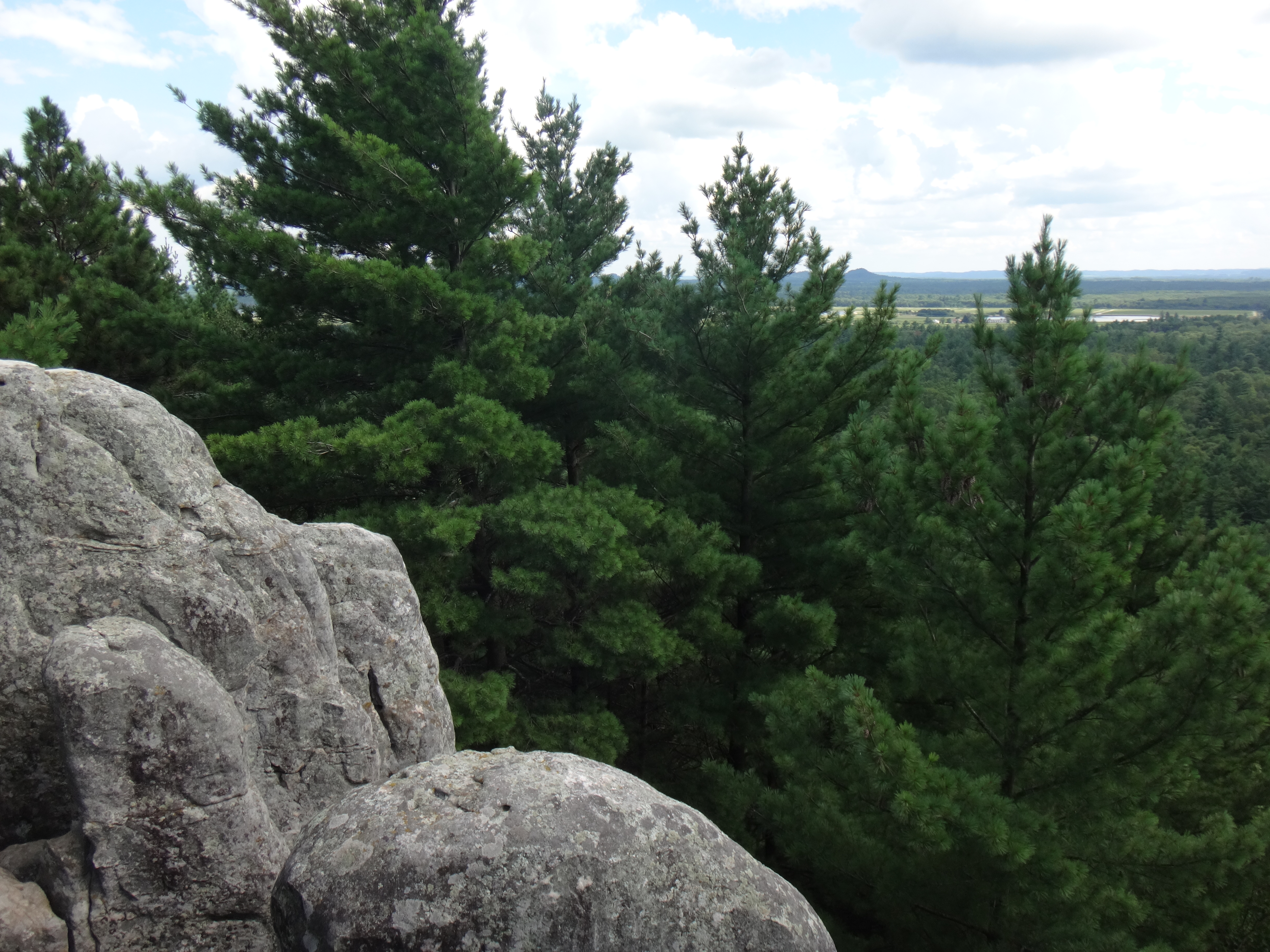 Castle Mound Lookout at Black River State Forest, Black River Falls