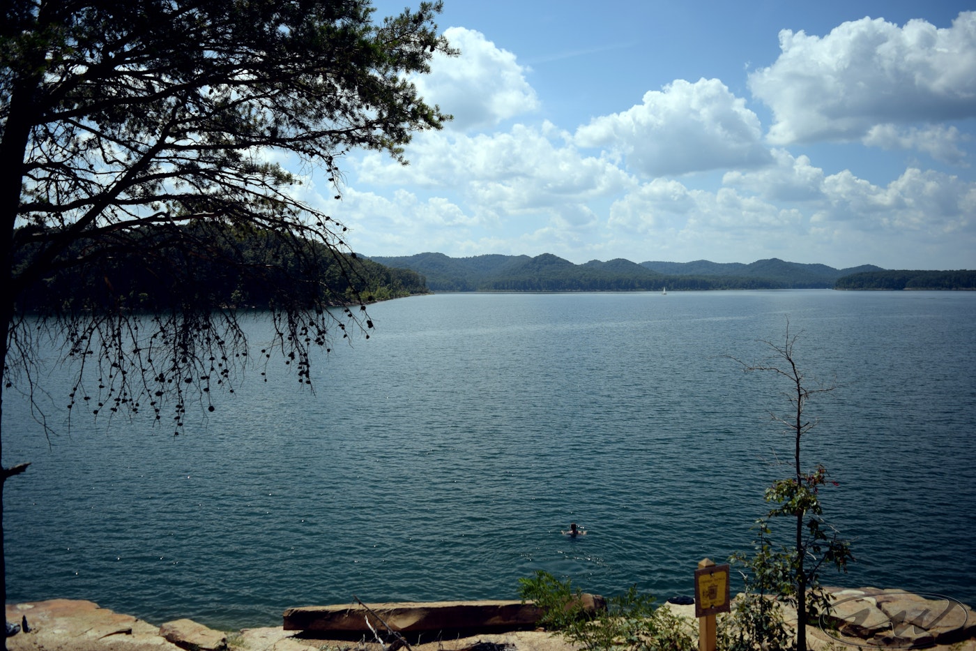 Photo of Swimming at Cave Run Lake