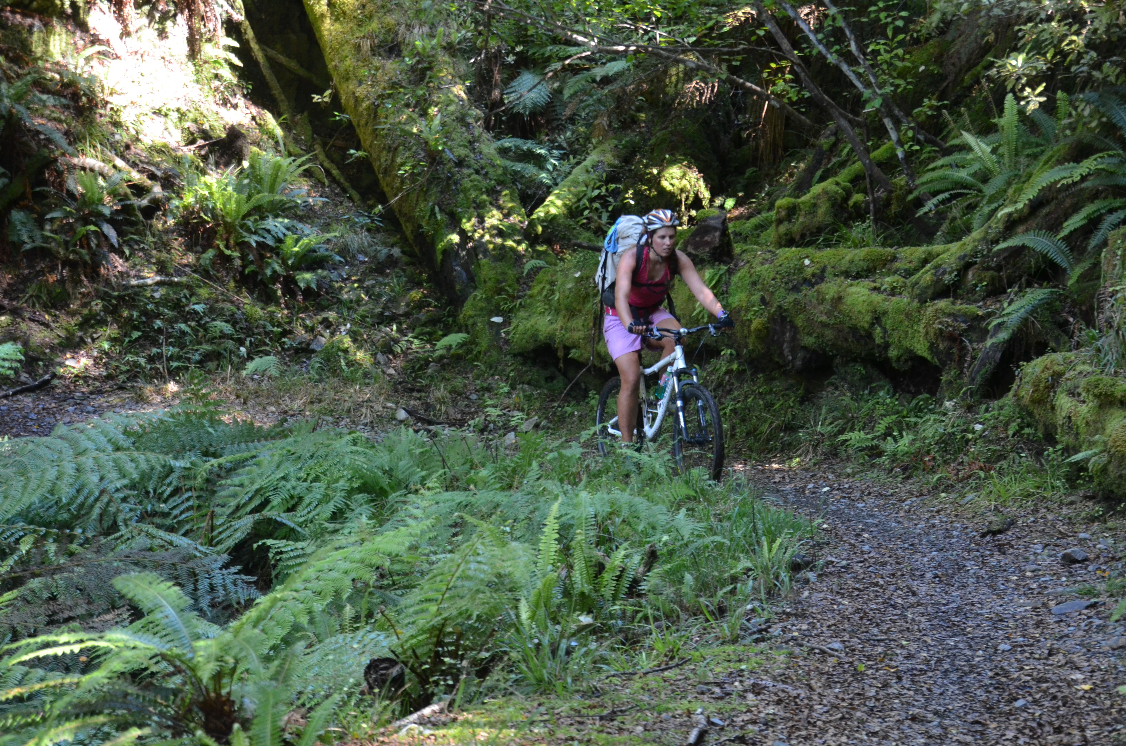 Mountain Bike the Old Ghost Road