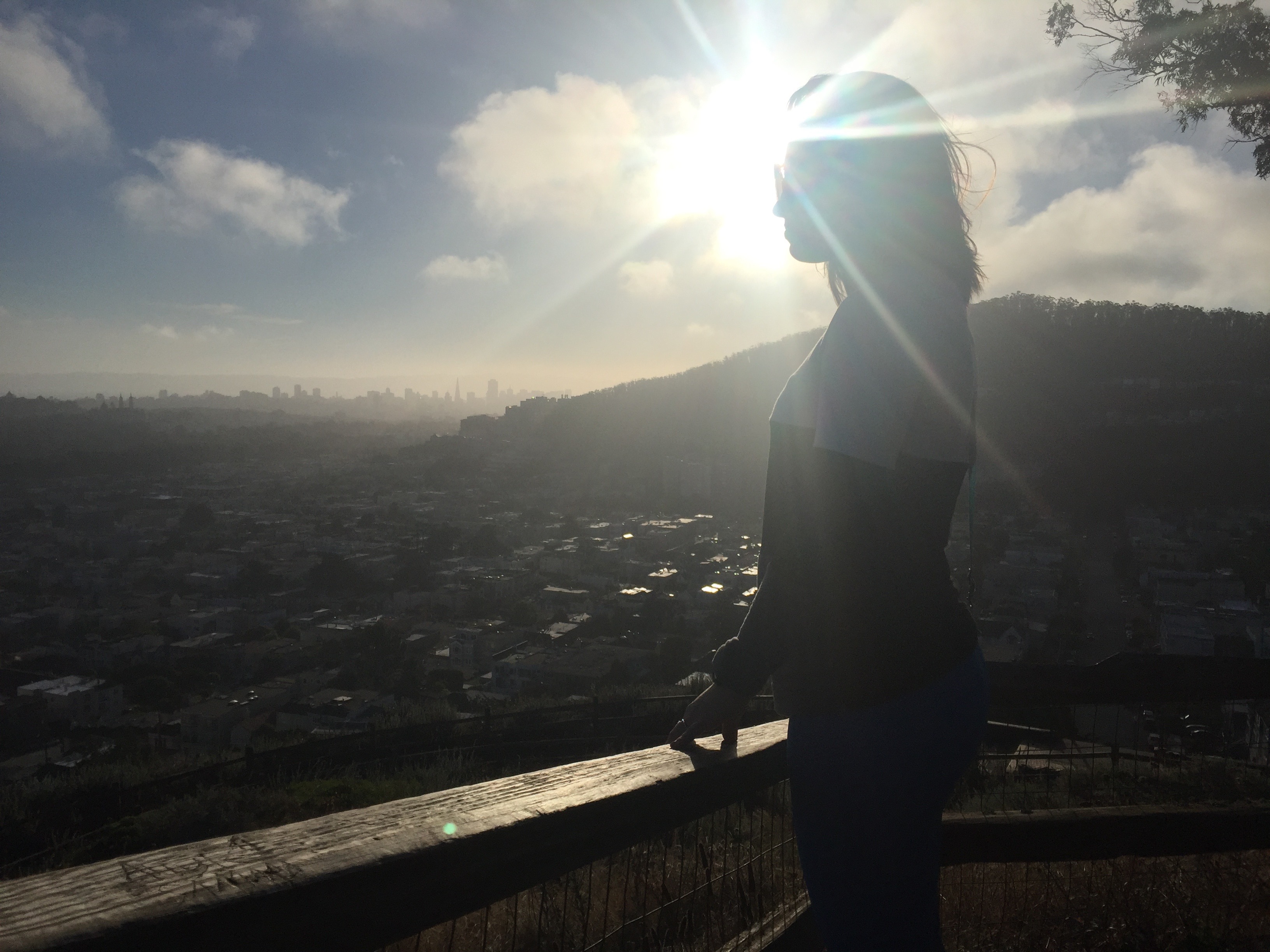 Golden Hour at Turtle Hill