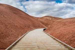 Walk the Painted Cove Loop Trail