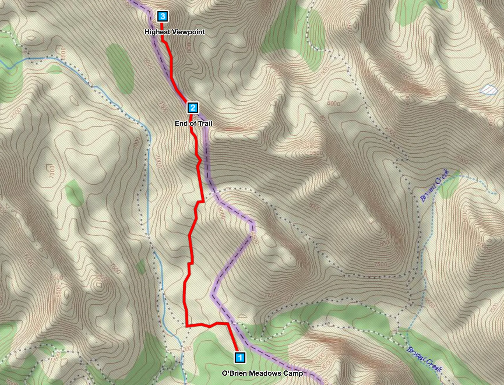 Hike to Windy Ridge 