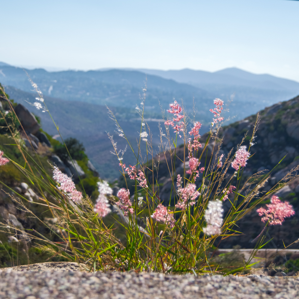 Blue Sky Ecological Reserve to Ramona Dam