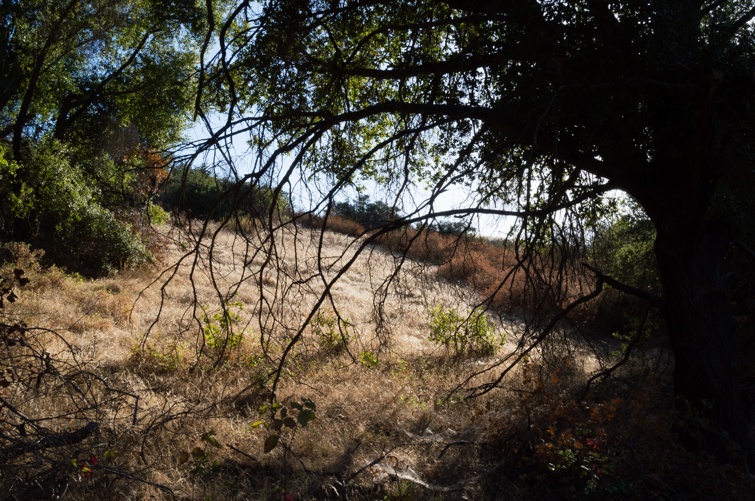 Blue Sky Ecological Reserve to Ramona Dam