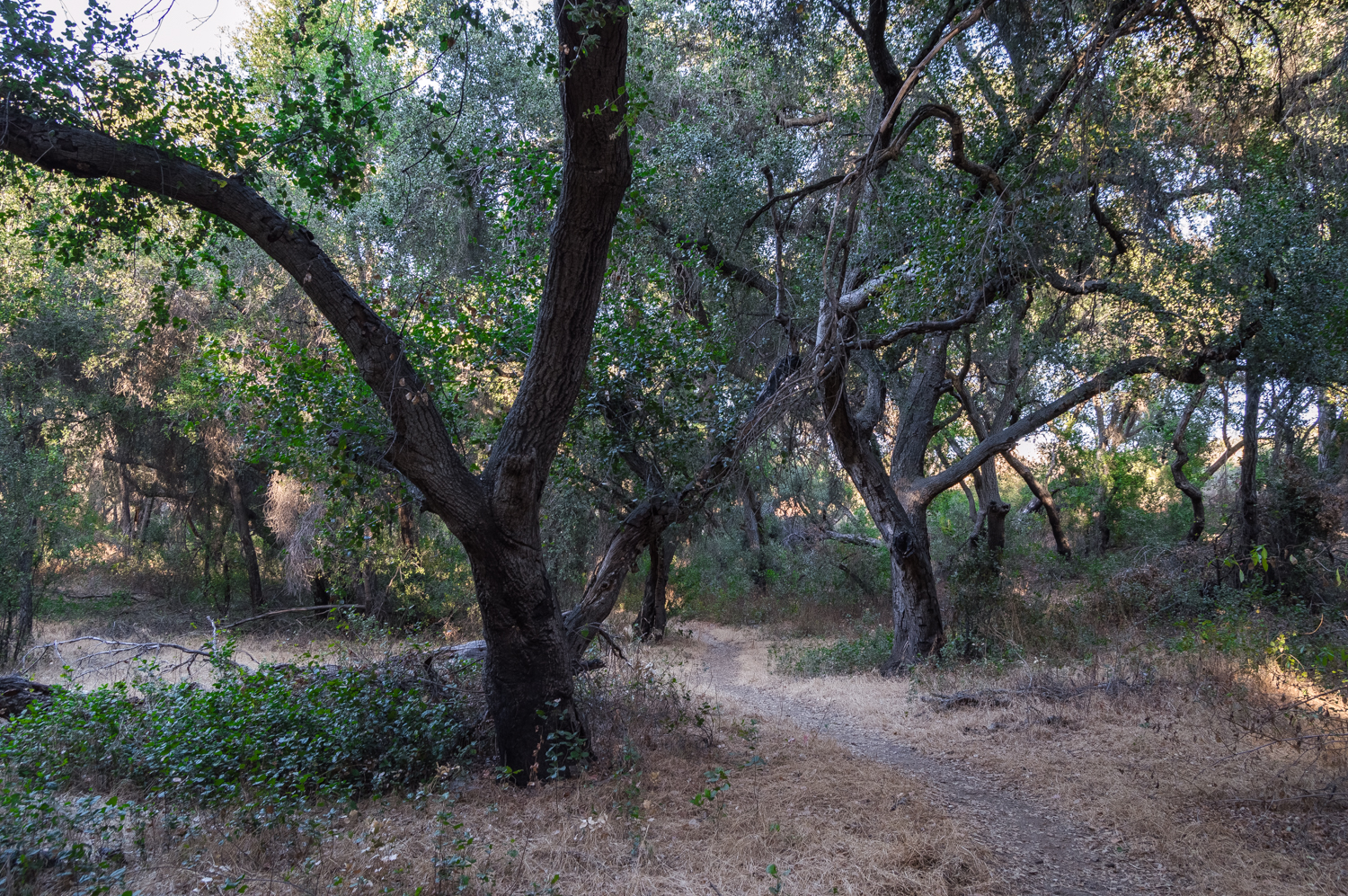 Blue Sky Ecological Reserve to Ramona Dam