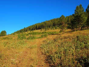 Conquer the Montana Island Challenge