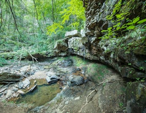 Hike Sitton's Gulch Trail