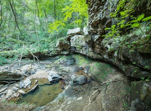 Hike Sitton's Gulch Trail
