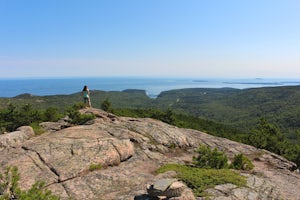 Summit Dorr Mountain via the Ladder Trail