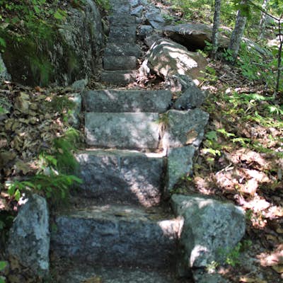 Summit Dorr Mountain via the Ladder Trail