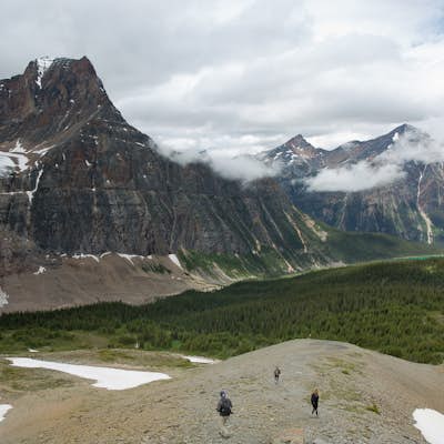 Hike the Cavell Meadows Trail