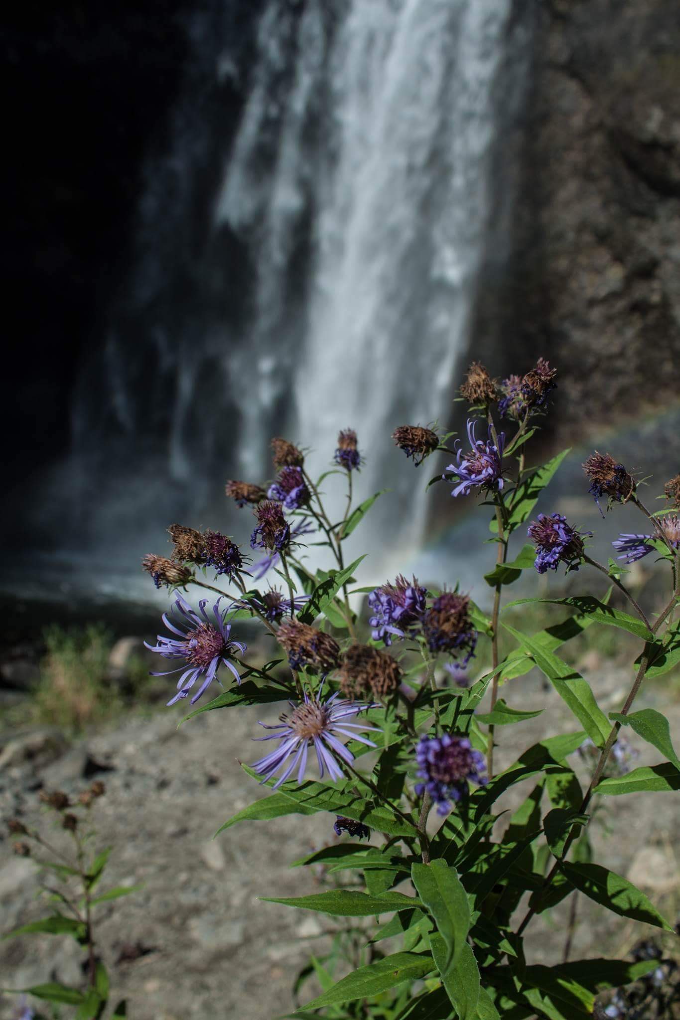 Moul falls