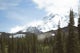 Hike to Adams Glacier Meadows