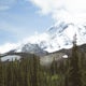 Hike to Adams Glacier Meadows