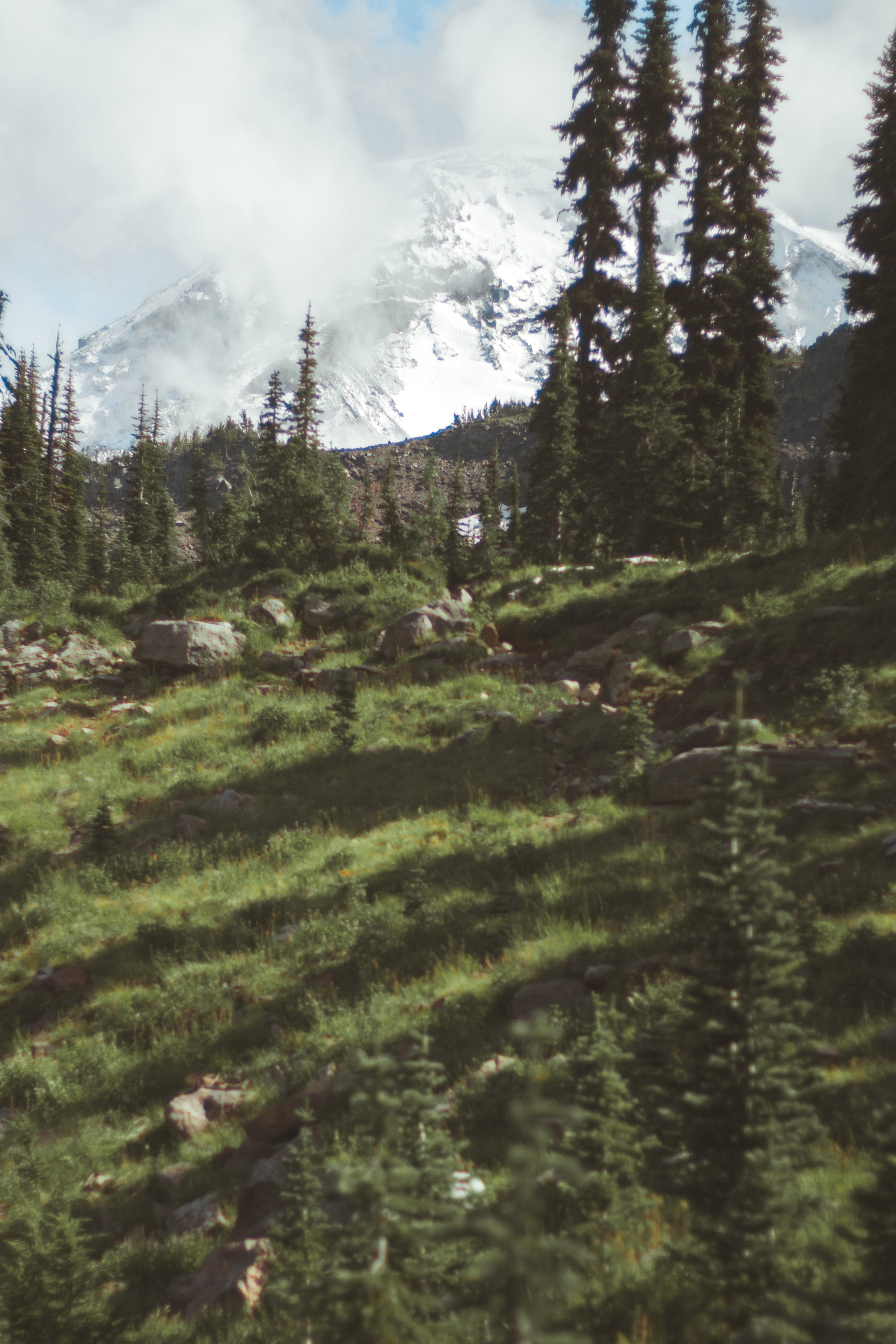 Hike to Adams Glacier Meadows