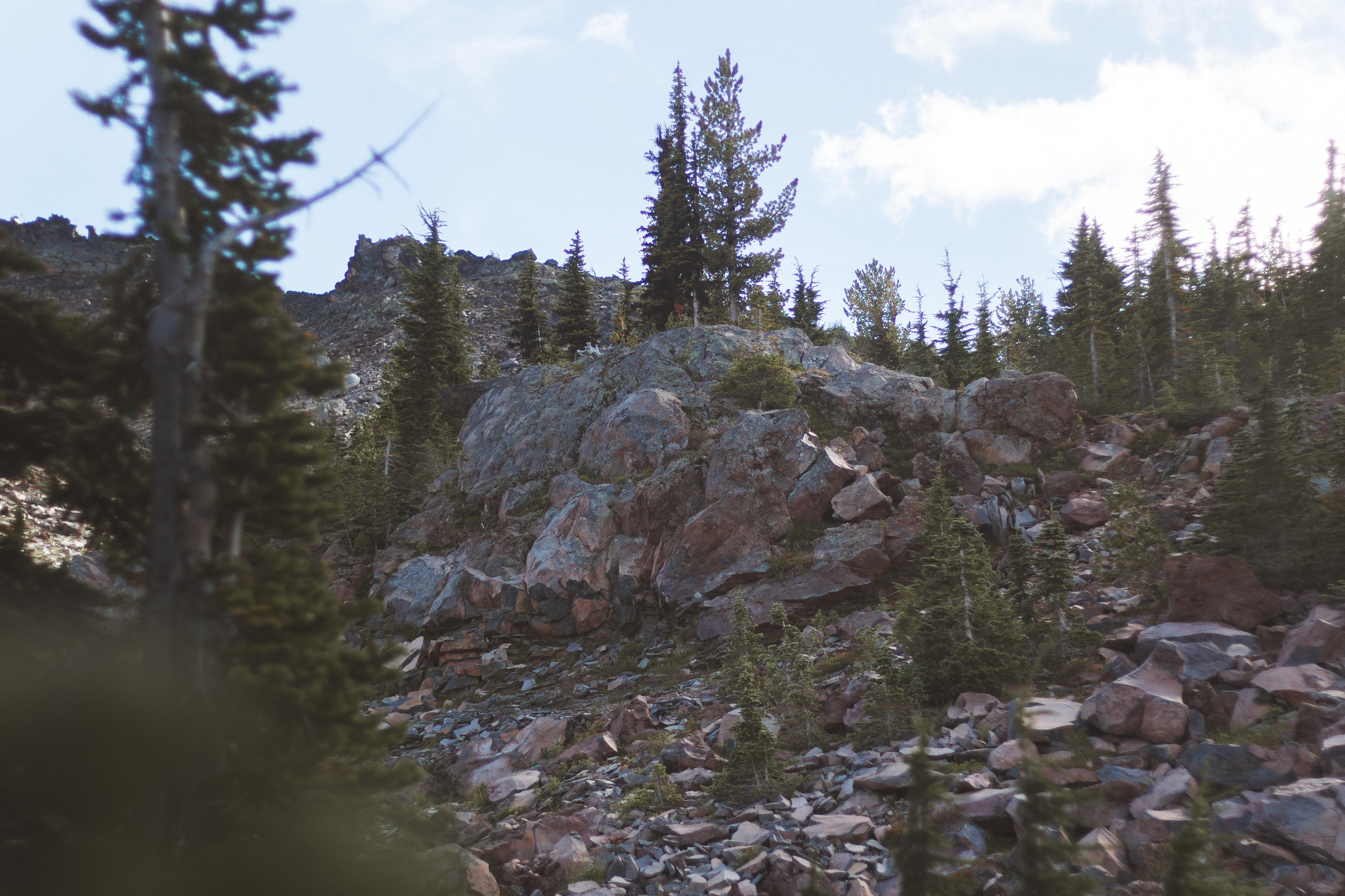 Hike to Adams Glacier Meadows