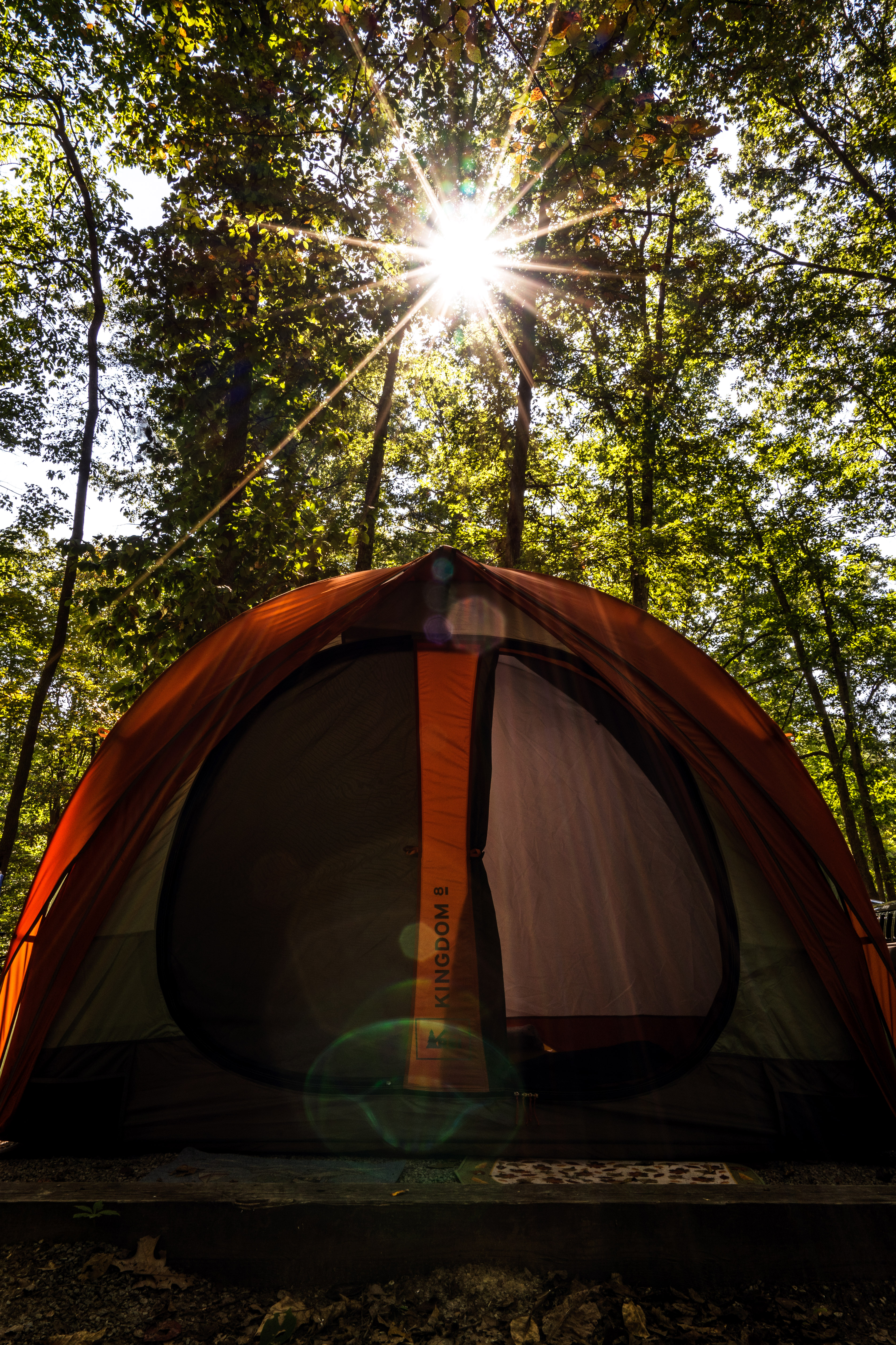 Camp at Claytor Lake State Park
