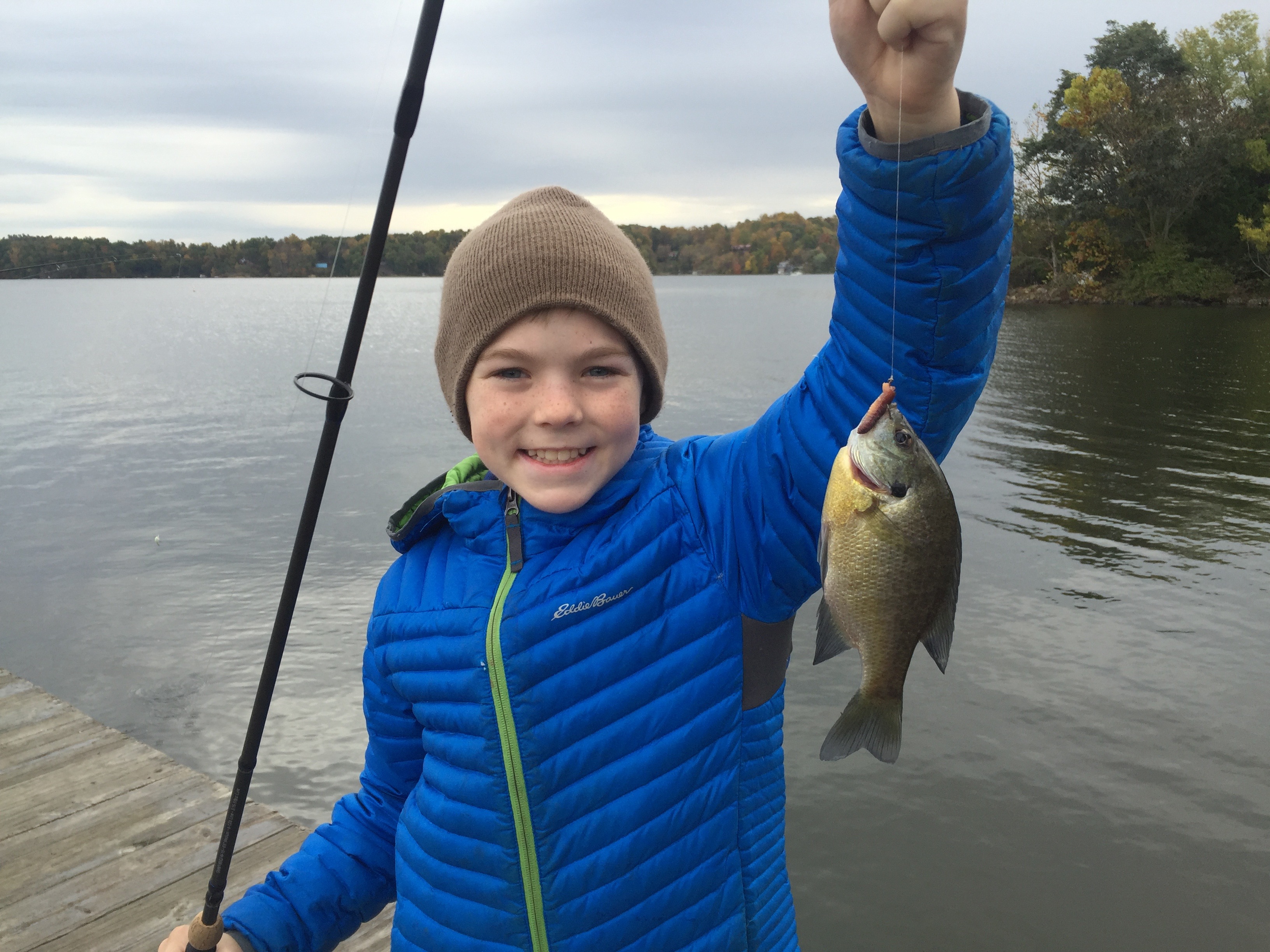 Camp at Claytor Lake State Park