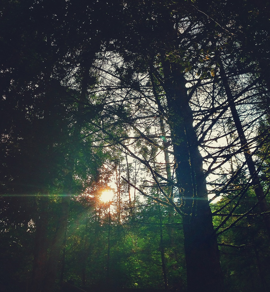 Hike to Sentiero del Dint 