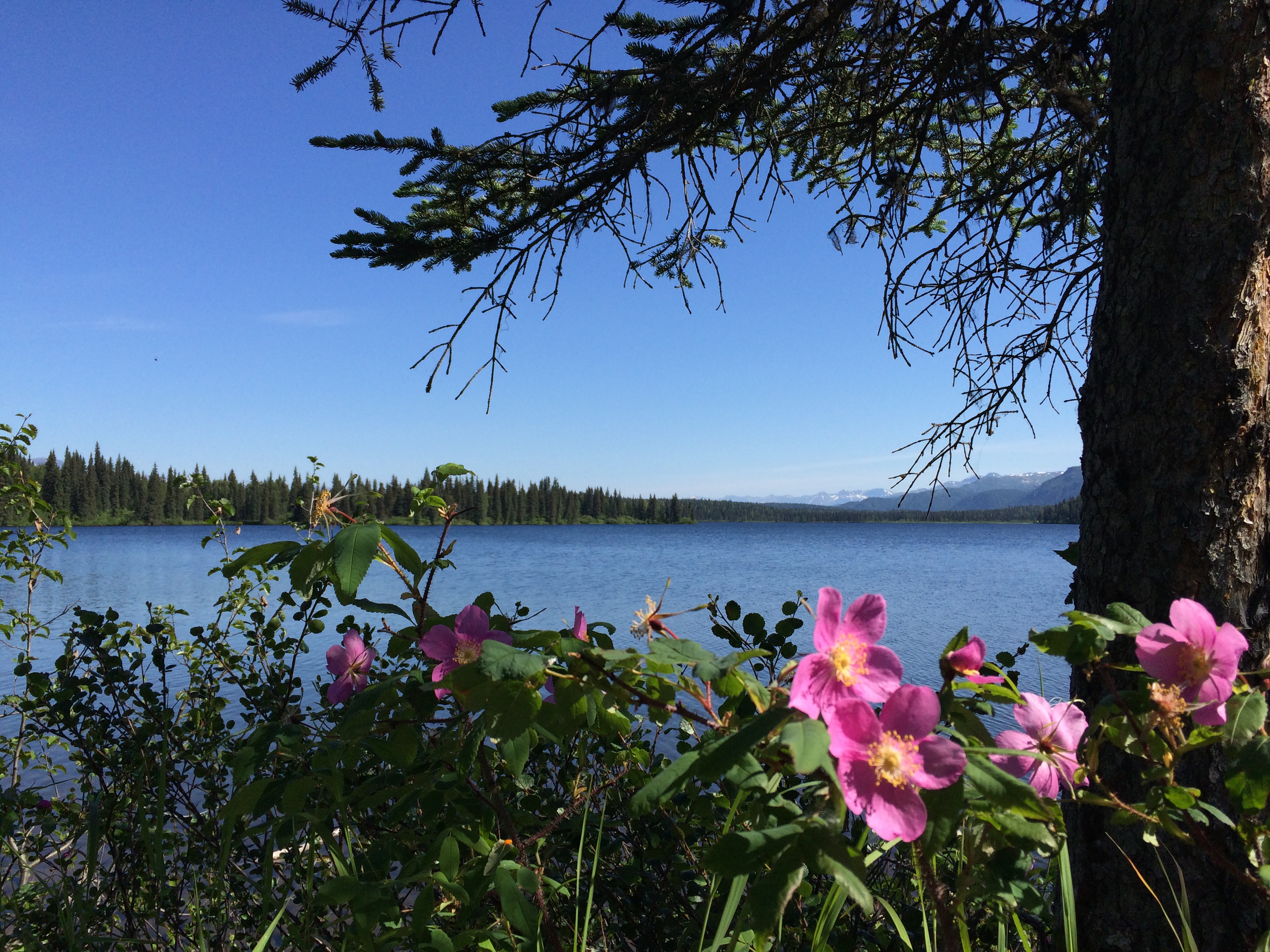 Hike Byer's Lake Loop