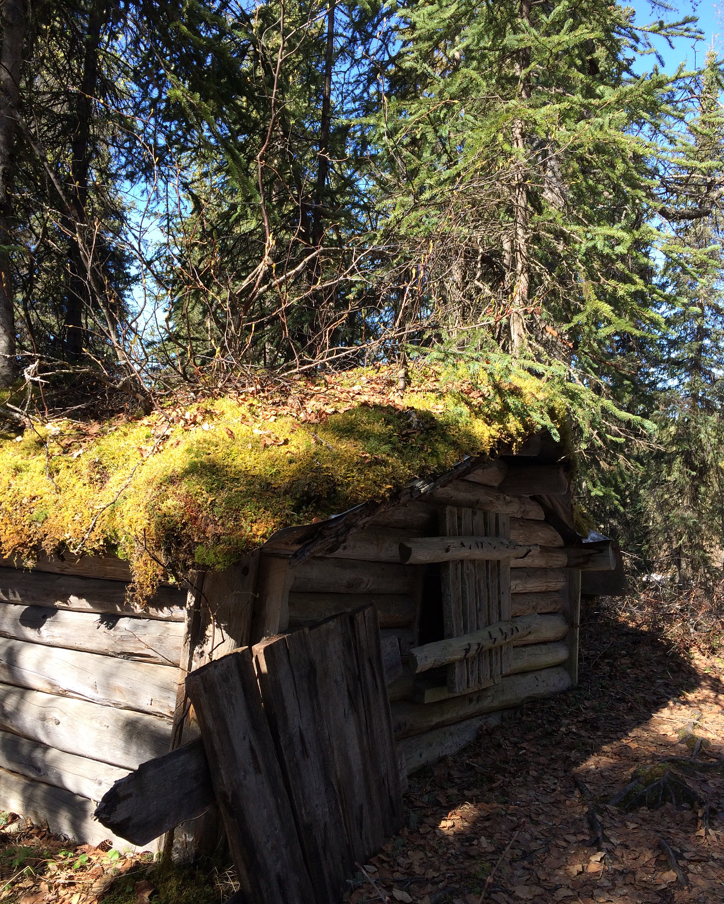 Hike Byer's Lake Loop