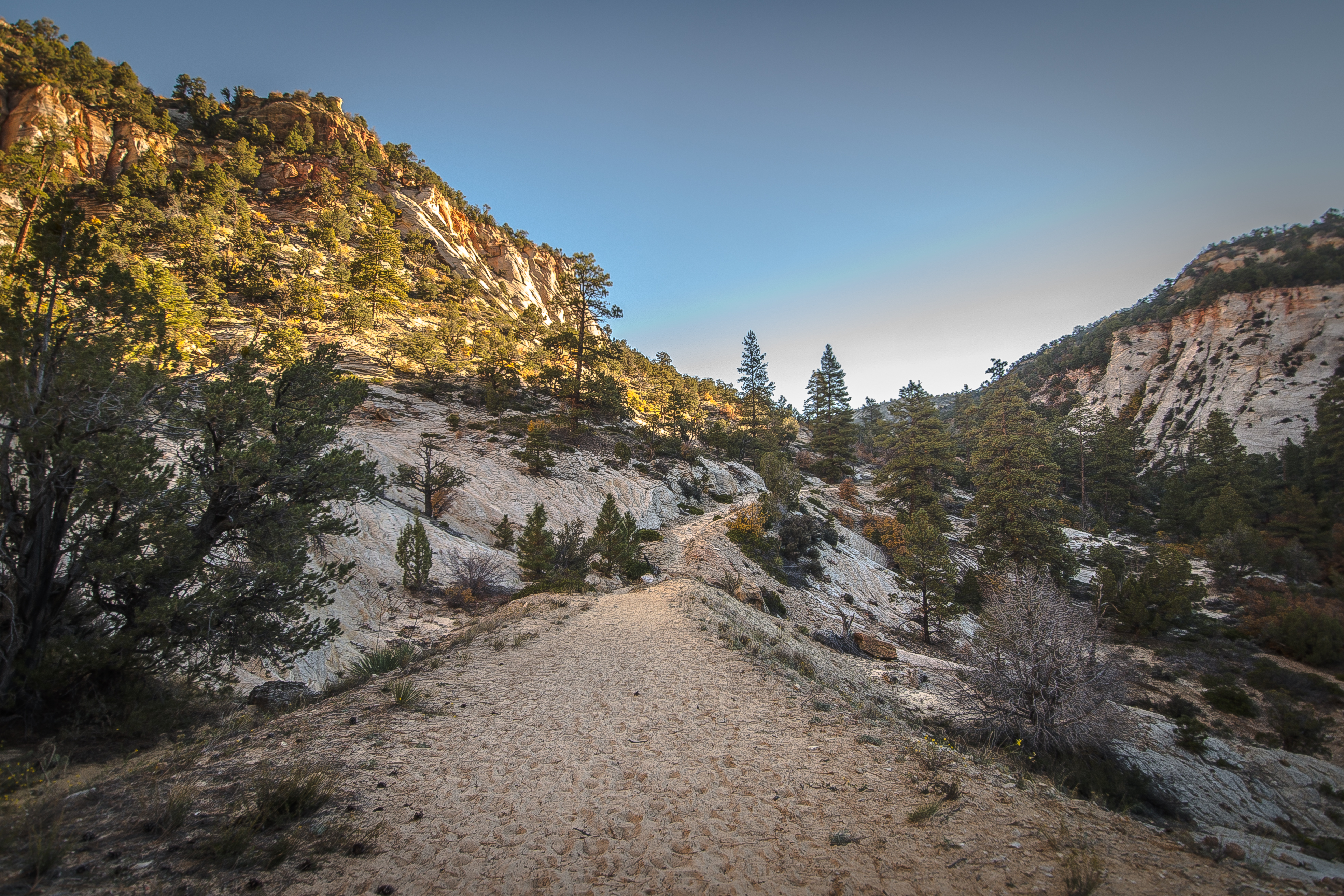 East Rim Trail, Zion NP
