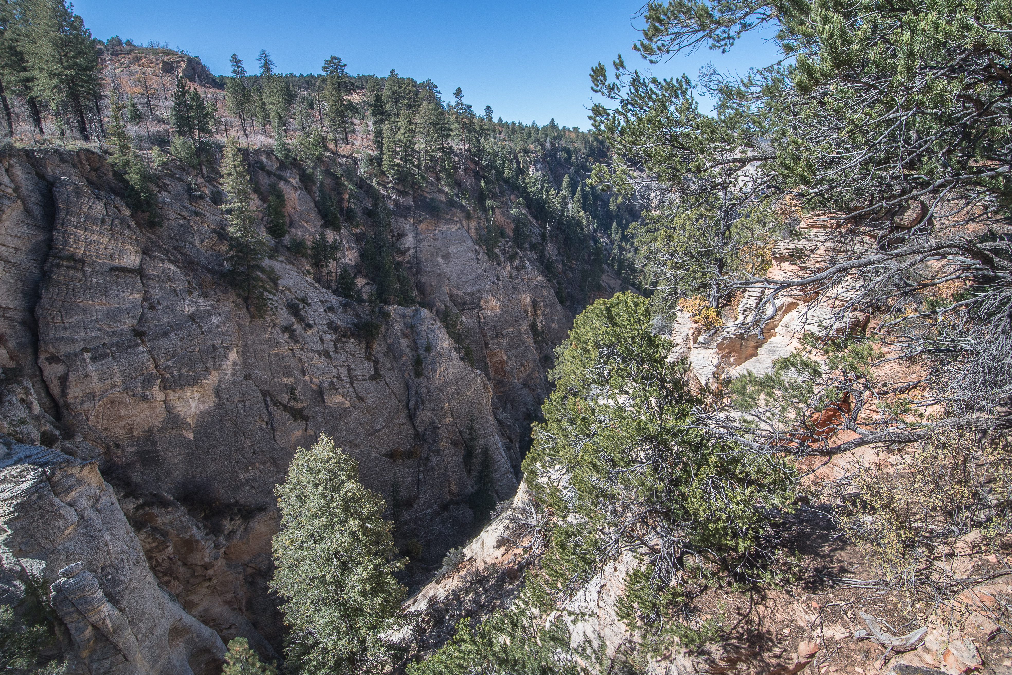 East Rim Trail, Zion NP