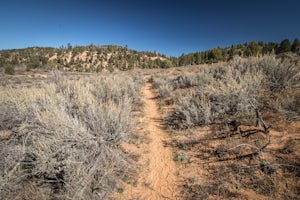 East Rim Trail, Zion NP
