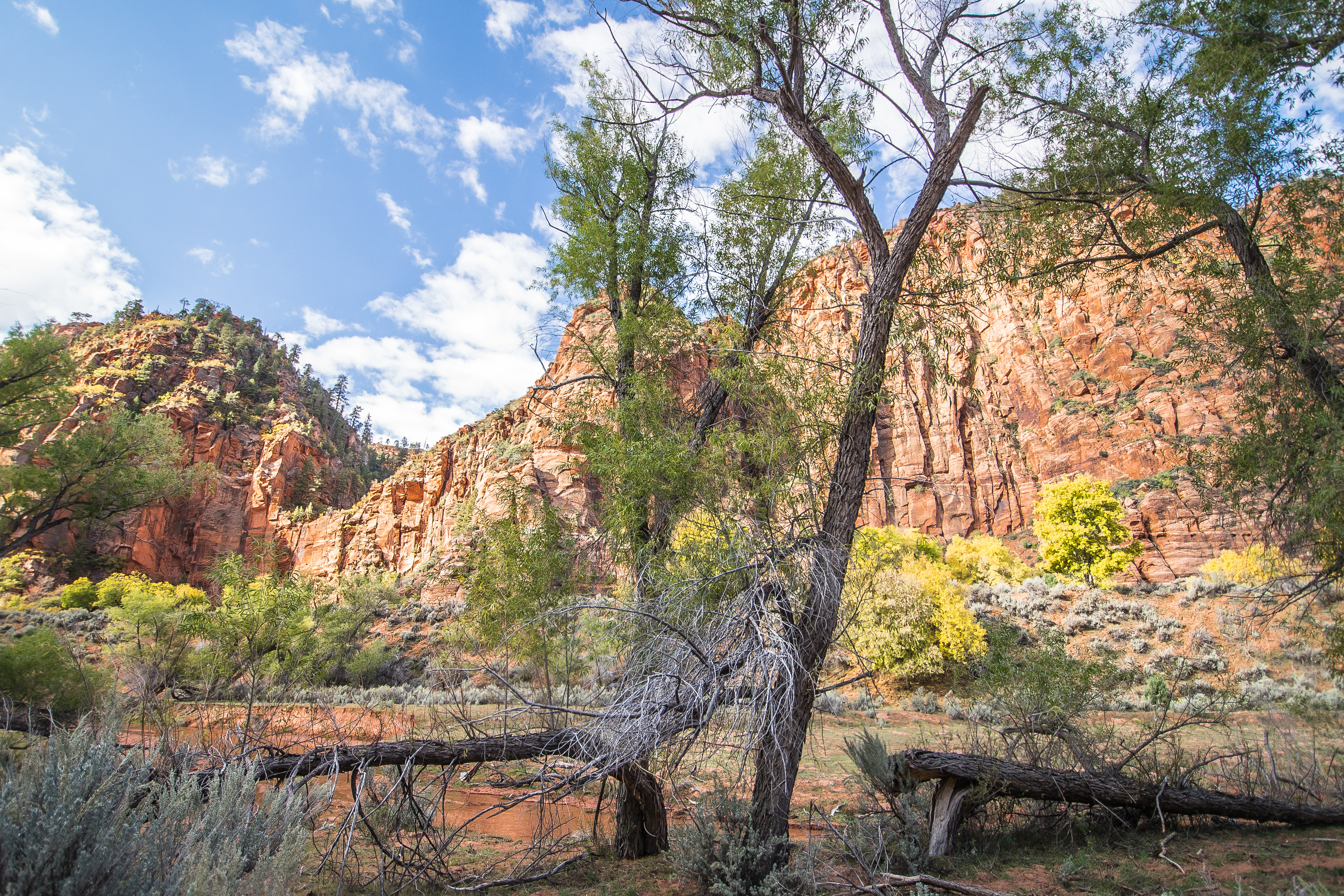 Hop Valley Trail, Zion NP