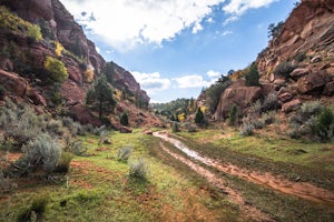 Hop Valley Trail, Zion NP