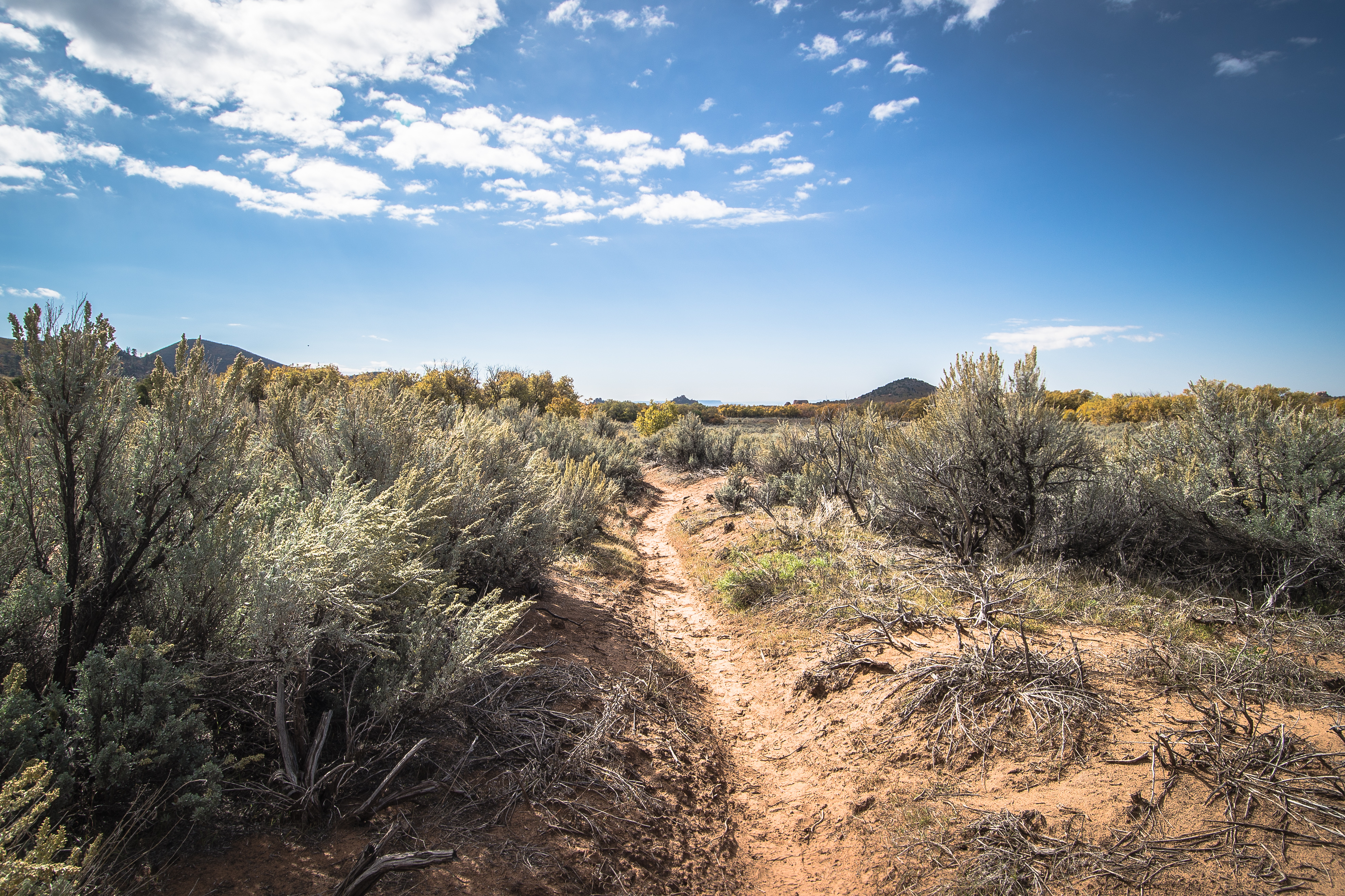 Hop Valley Trail, Zion NP