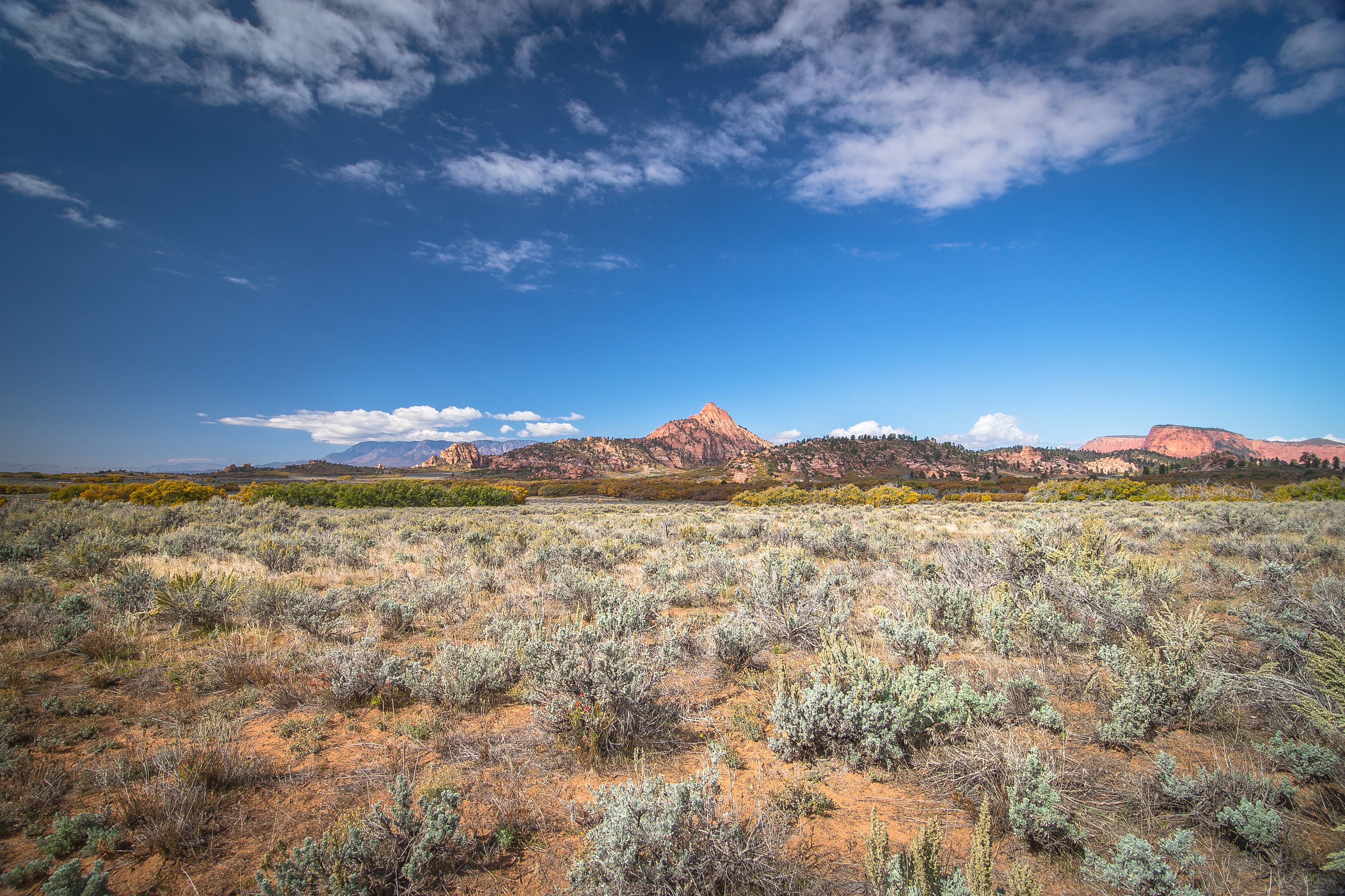Hop Valley Trail, Zion NP