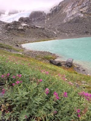 Wedgemount Glacier Dayhike