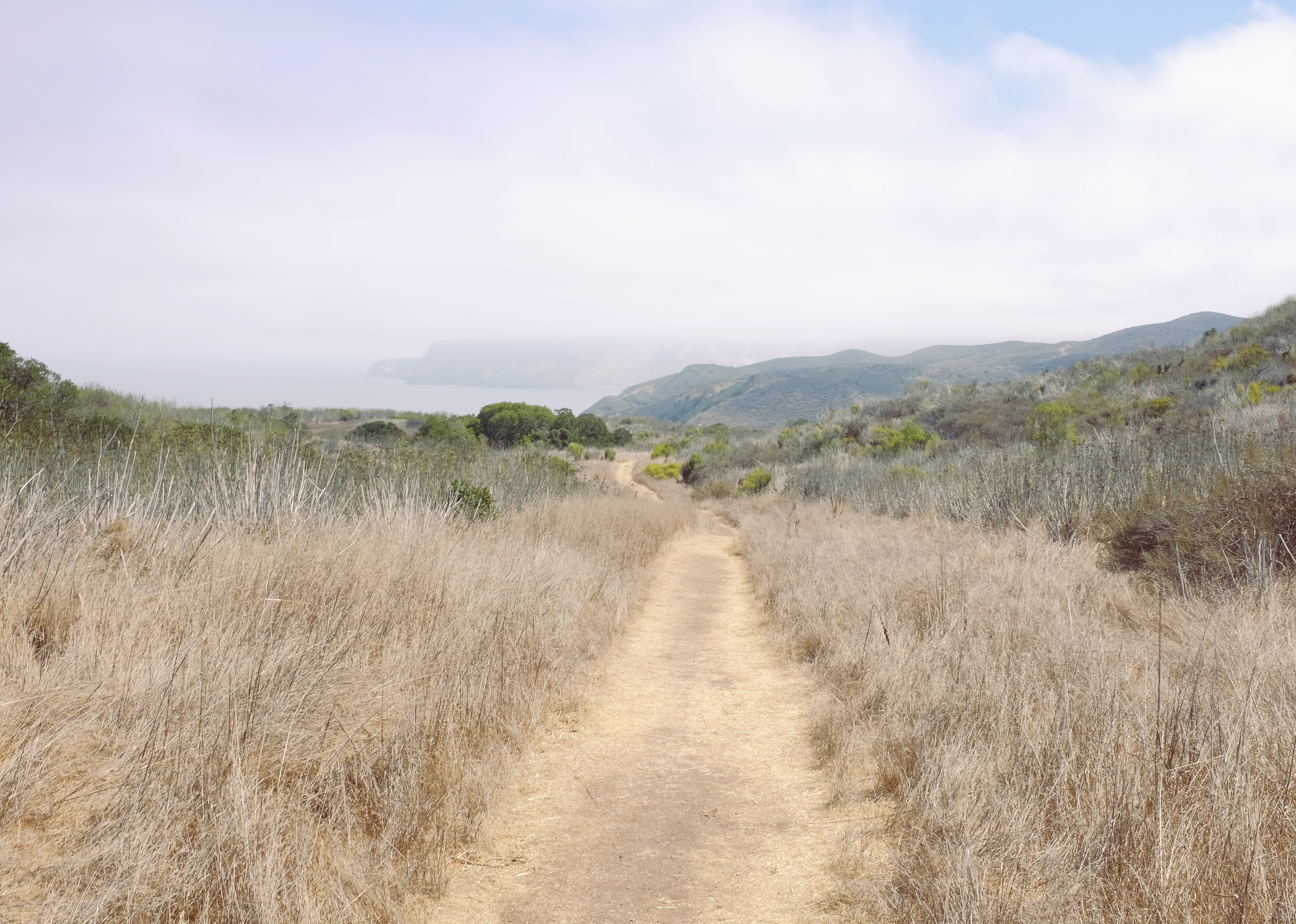 Backpack to Del Norte Campground on Santa Cruz Island
