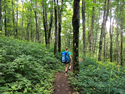Backpack to Overmountain Shelter in the Roan Highlands