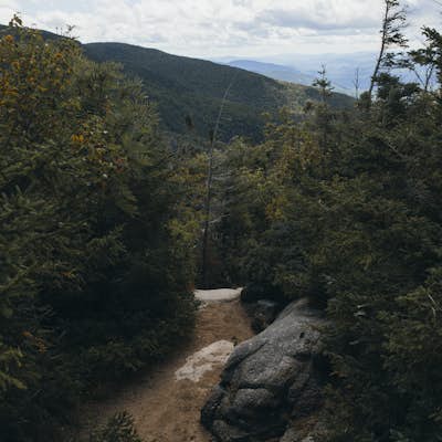 Hike to Greenleaf Hut via Old Bridle Path