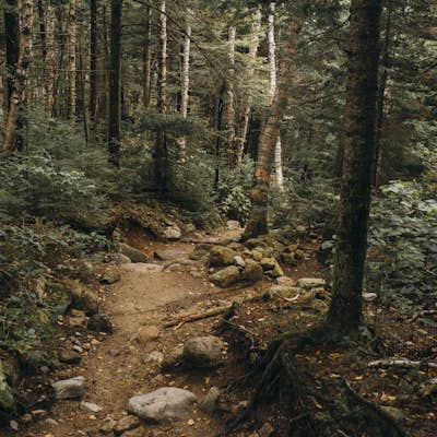 Hike to Greenleaf Hut via Old Bridle Path