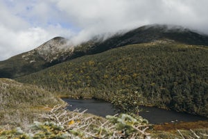 Hike to Greenleaf Hut via Old Bridle Path