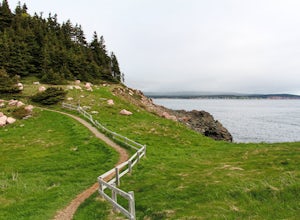 Hike the Middle Head Trail