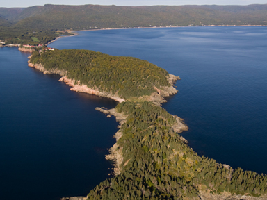 Middle Head Trail
