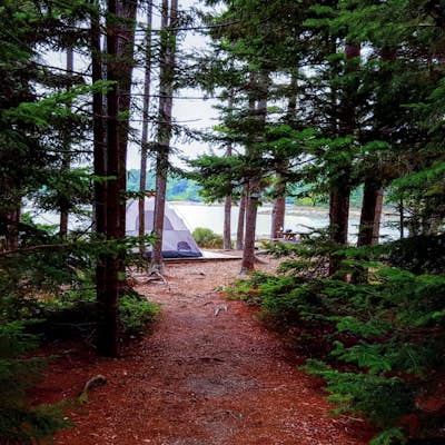Camp at Mount Desert Campground on Somes Sound