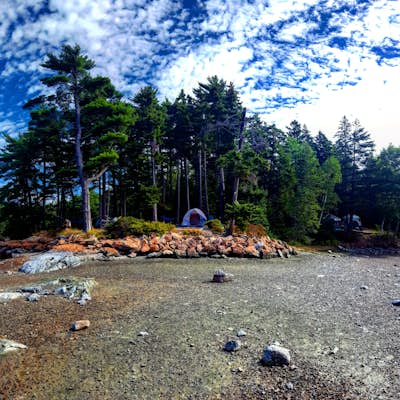 Camp at Mount Desert Campground on Somes Sound