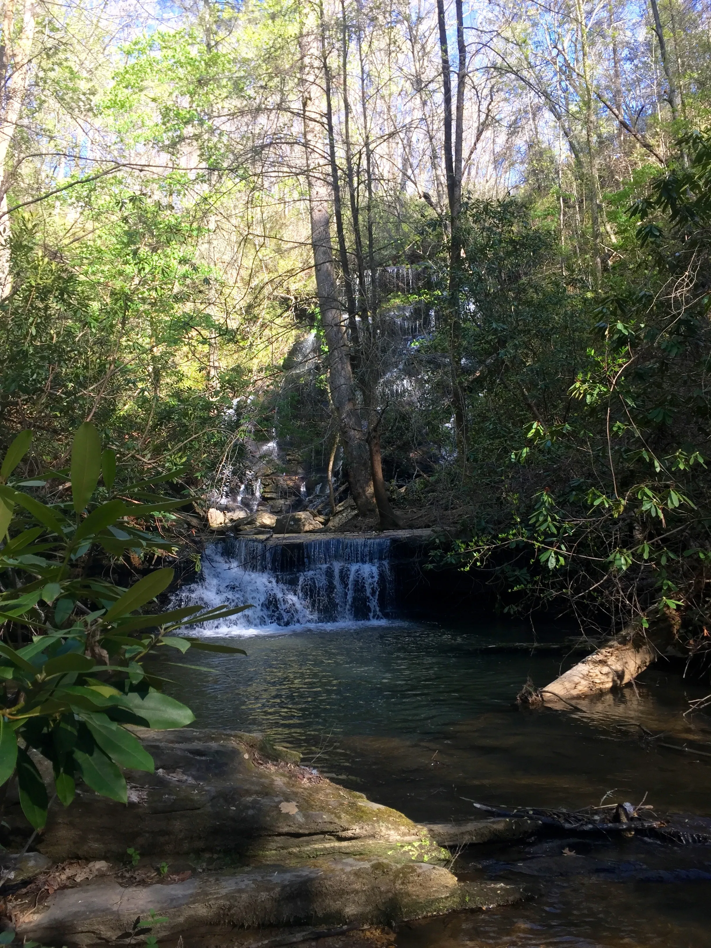 Yellow Branch Falls