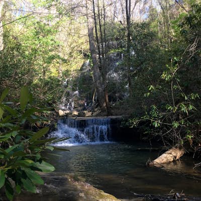 Hike to Yellow Branch Falls