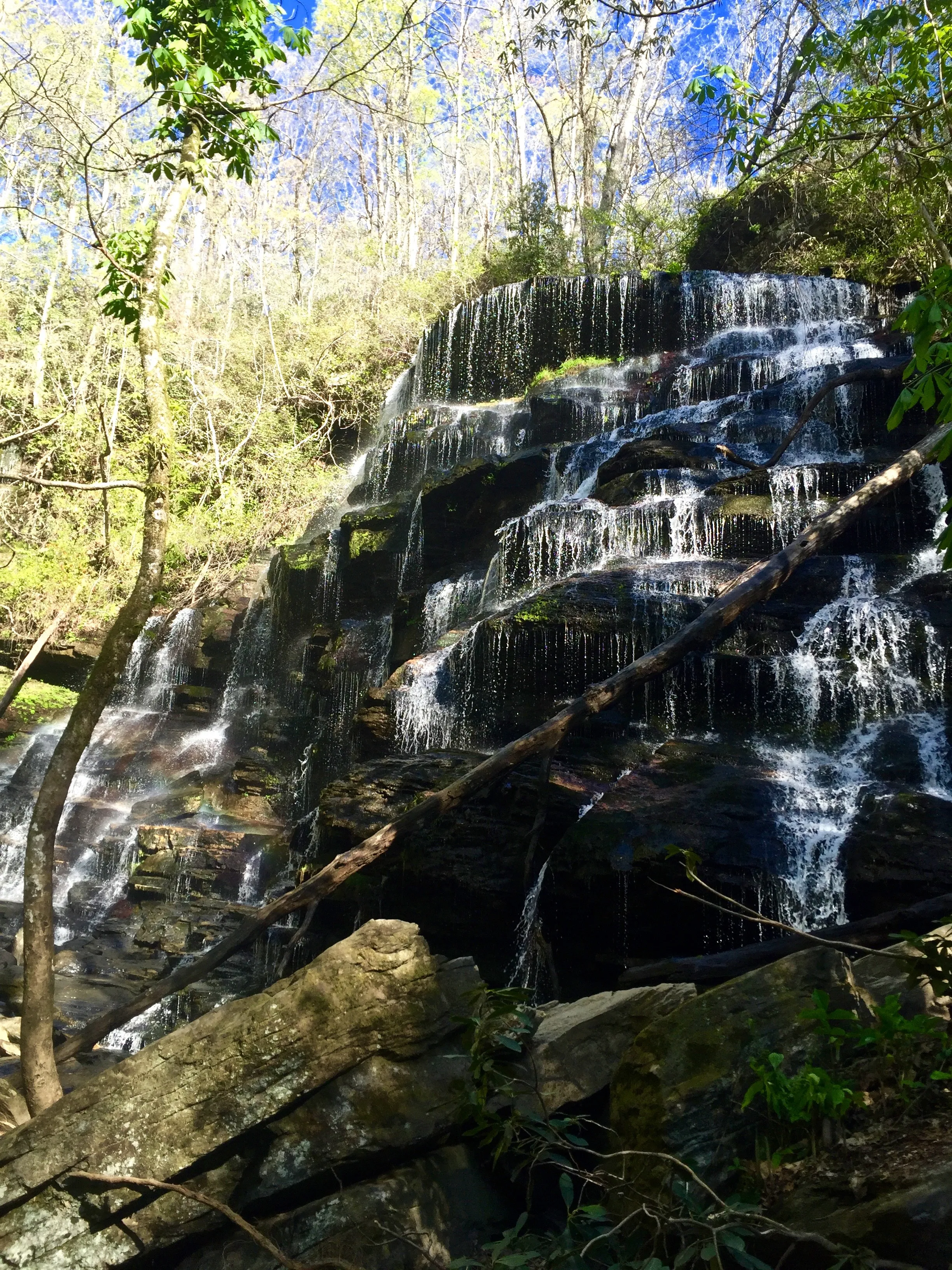 Yellow Branch Falls