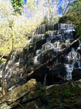 Hike to Yellow Branch Falls